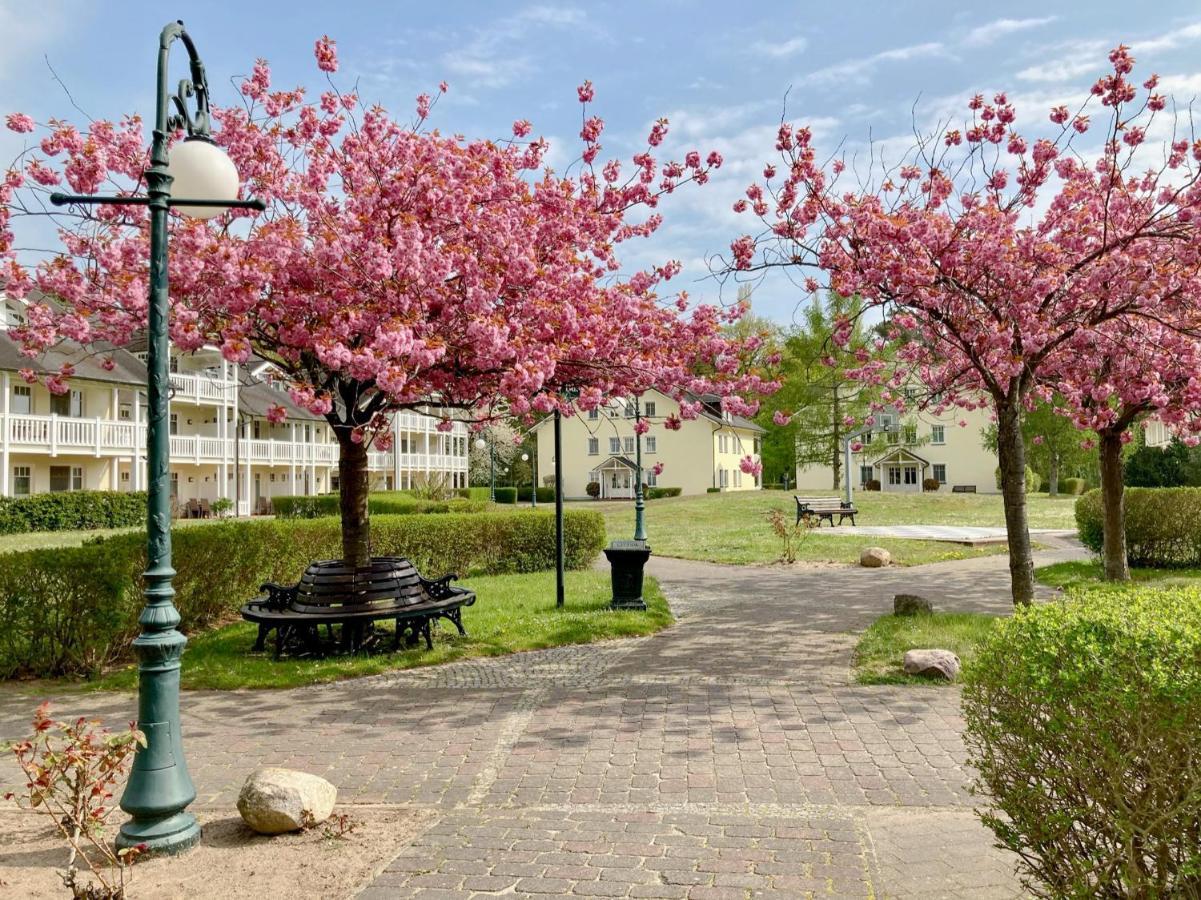 Duenenpark Binz - Wg 40 "Treibgut" Lägenhet Exteriör bild